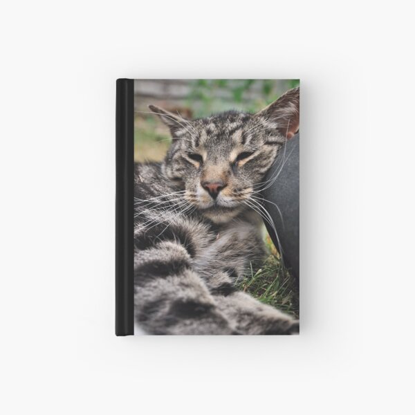 I Kneed a Pillow Hardcover Journal
