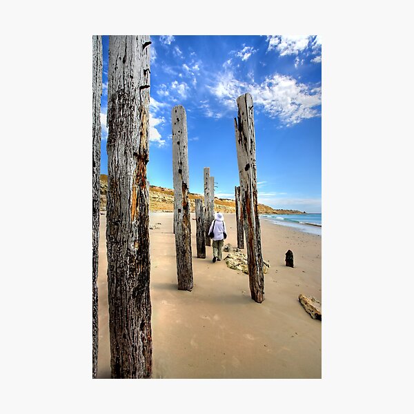 Aperçu de l'œuvre Among the Posts créée et vendue par Bill Robinson.