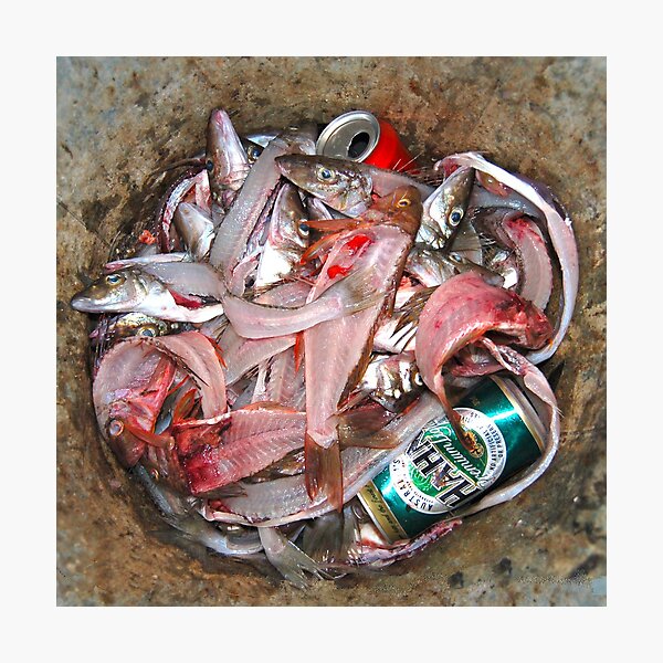 Item preview, Fish Bits designed and sold by YouBeaut Designs.