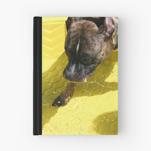 Aperçu de l'œuvre Poisson pour les collations créée et vendue par Alexandra Wise-Brogna.