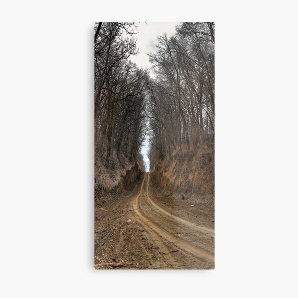 Passageway Metal Print