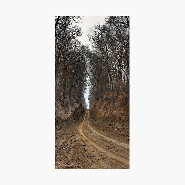 Passageway Photographic Print