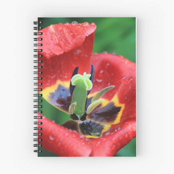 Item preview, Wet Tulip Delight designed and sold by Teresa Zieba.