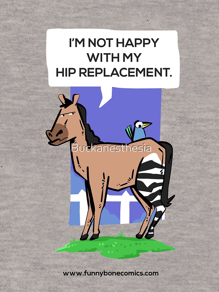 "Not Happy with my Hip Replacement Zebra Horse Design " Lightweight Hoodie by Buckanesthesia