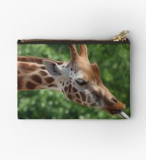 Giraffe Studio Pouch