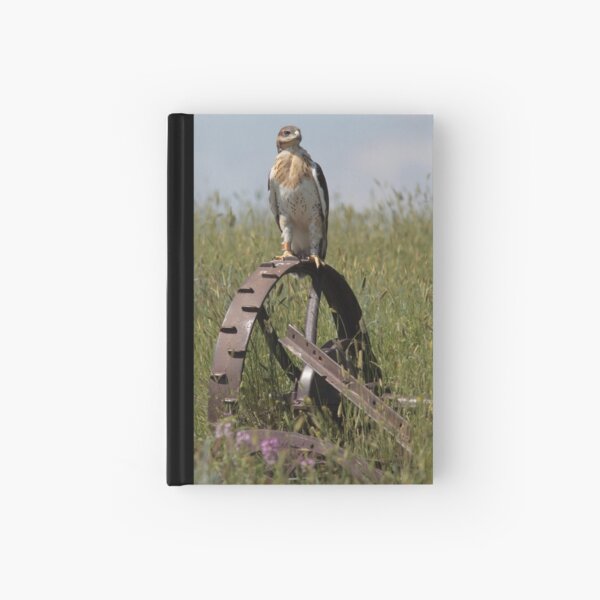 Fledging Ferruginous Hawk Hardcover Journal