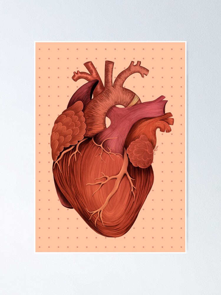 Color pencil drawing of first aid kit for heart Vector Image