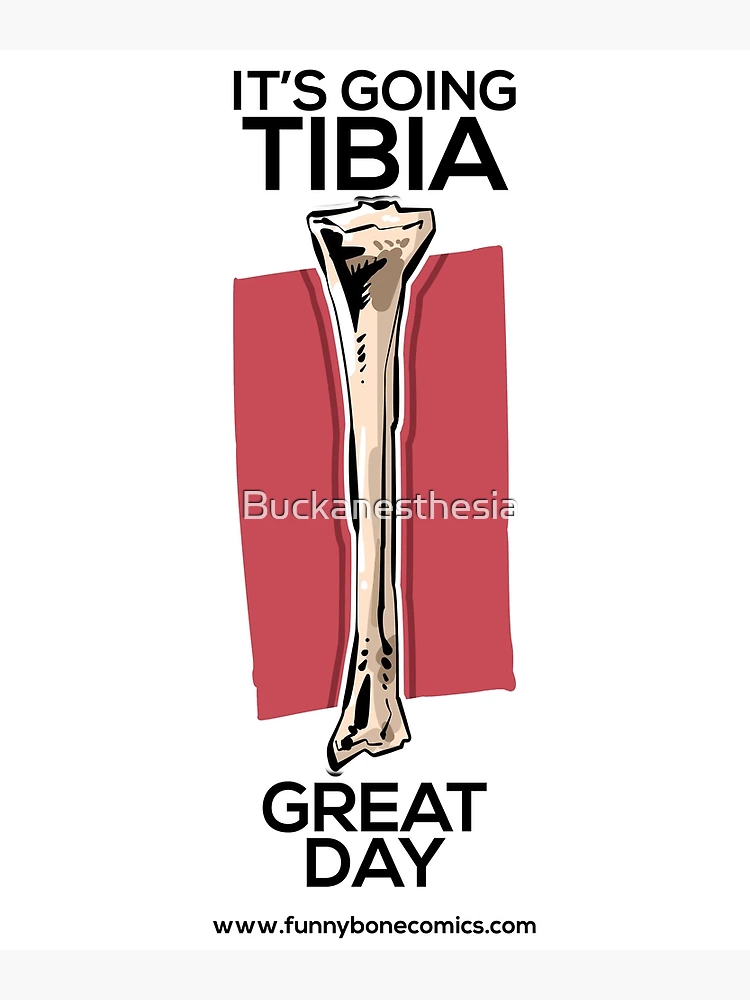 Tibia - Tibians, today we have an extraordinary