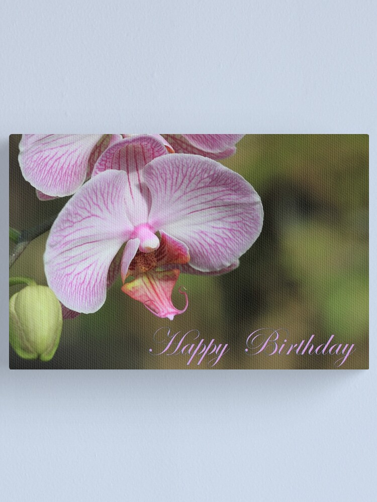 Impression Sur Toile Carte D Orchidee De Joyeux Anniversaire Par Tenia115 Redbubble