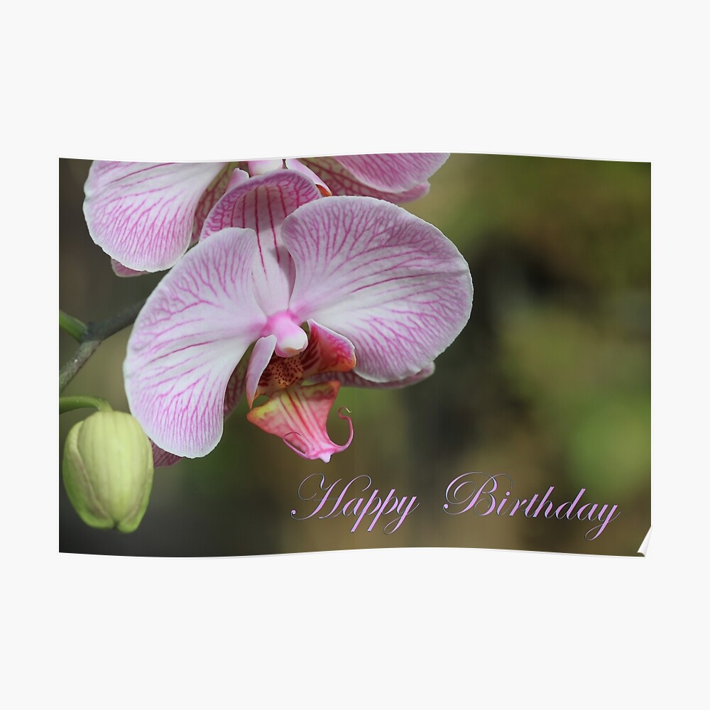 Impression Artistique Carte D Orchidee De Joyeux Anniversaire Par Tenia115 Redbubble
