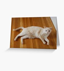 Seriously? Greeting Card