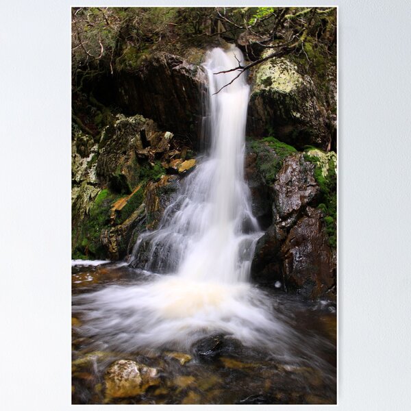 Item preview, The Creek after Crater Falls designed and sold by tinnieopener.