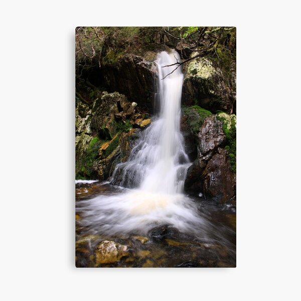Item preview, The Creek after Crater Falls designed and sold by tinnieopener.