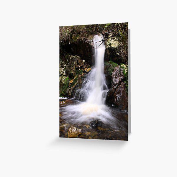 Item preview, The Creek after Crater Falls designed and sold by tinnieopener.