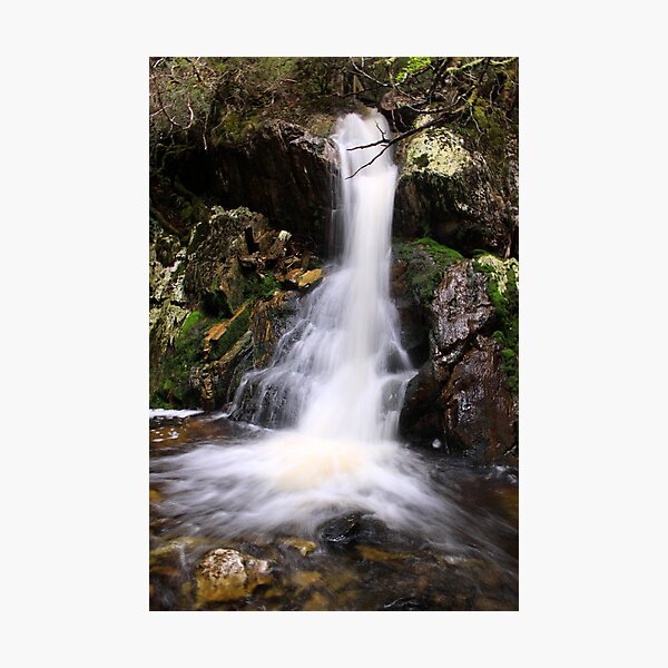 Item preview, The Creek after Crater Falls designed and sold by tinnieopener.