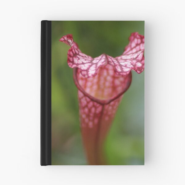 Item preview, Pitcher Plant designed and sold by crystalventerseye.