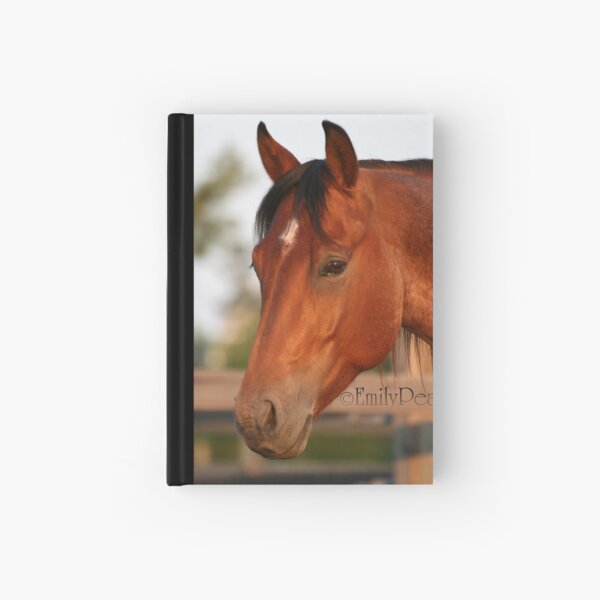Hayden Headshot Hardcover Journal