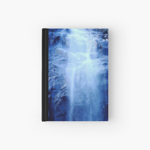 Protestor falls Hardcover Journal