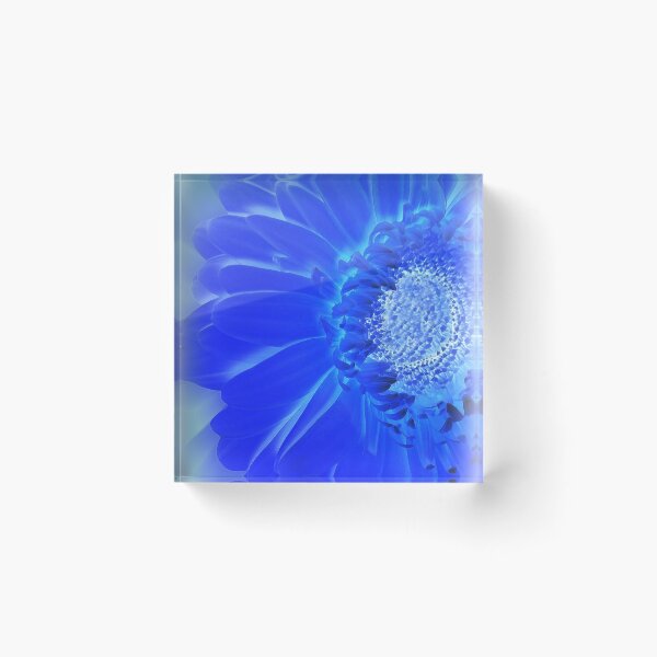 Item preview, electric blue gerbera designed and sold by feiermar.