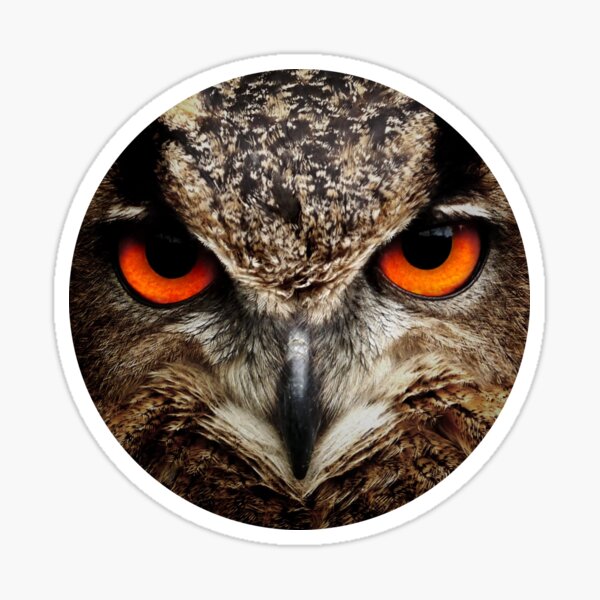 Item preview, Owl Eyes designed and sold by rewstudio.