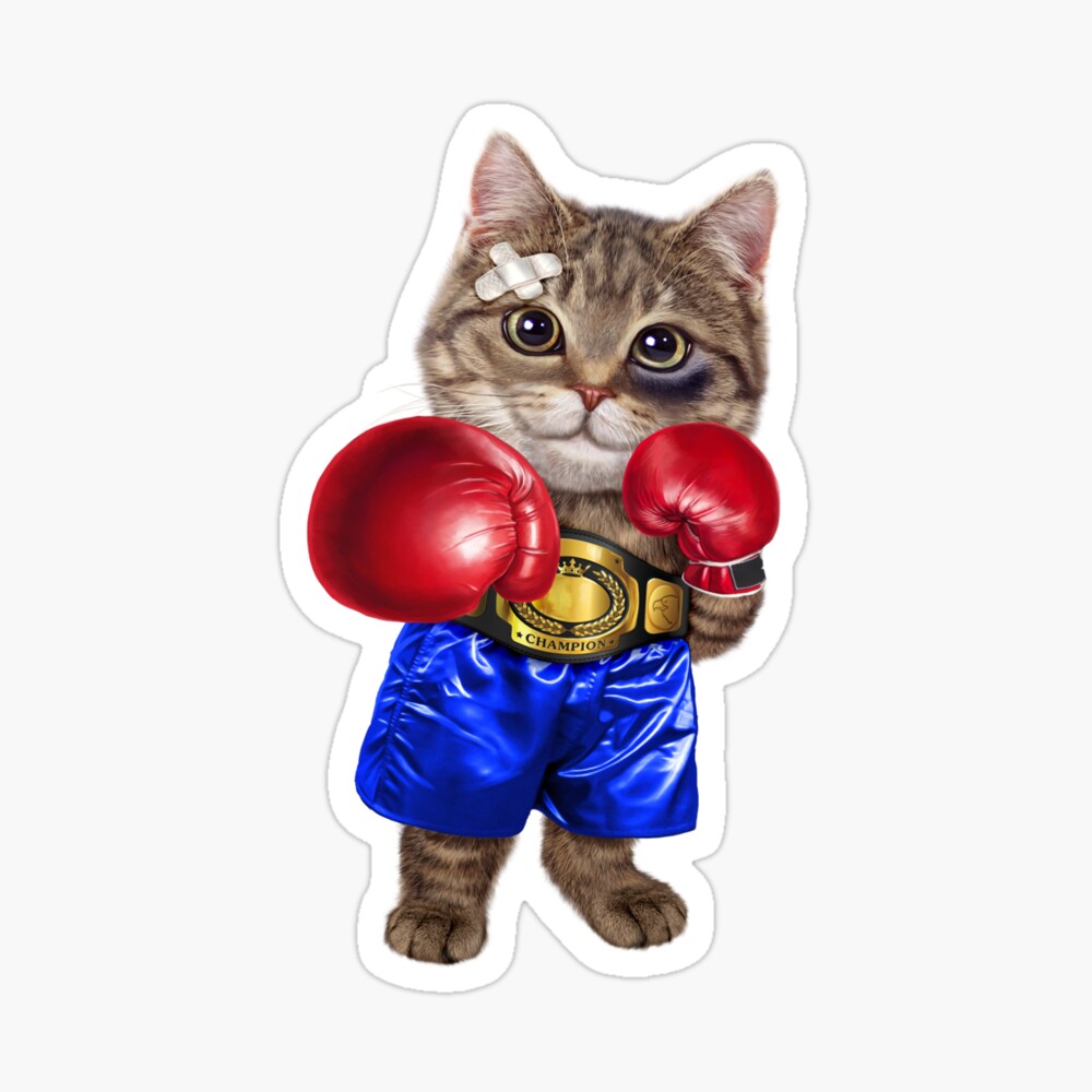 16x16 Fox Republic Design Orange Cat as Boxing Champion in Boxer Gloves Throw Pillow Multicolor