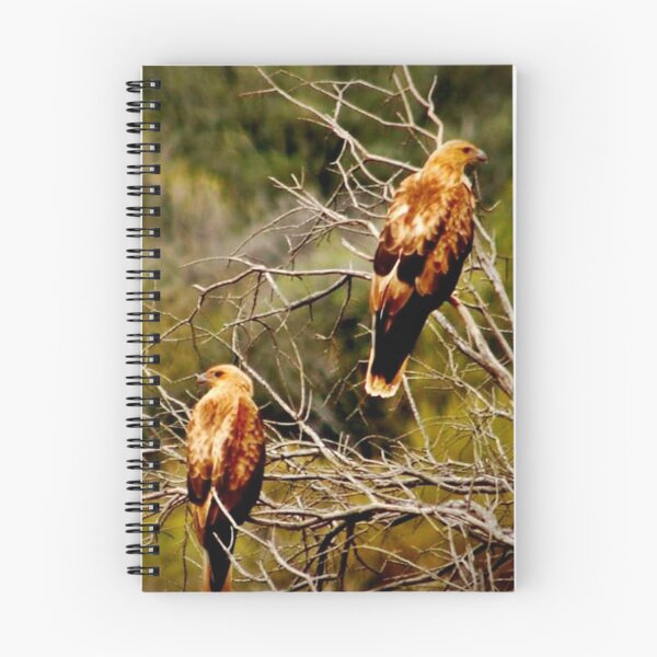 Item preview, Hawks designed and sold by Narelle Baer.