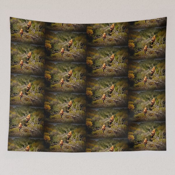 Item preview, Hawks designed and sold by Narelle Baer.