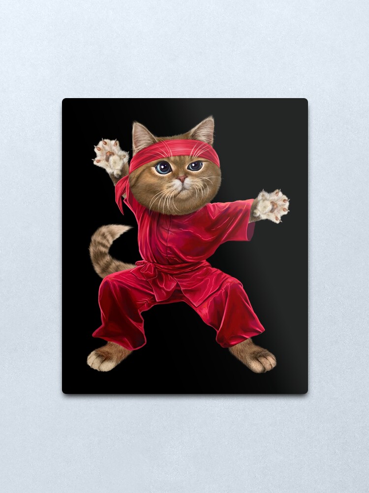 Impression Metallique Chat Shaolin Dans La Position Chinoise De Wushu Art Martial De Kung Fu Par Fox Republic Redbubble