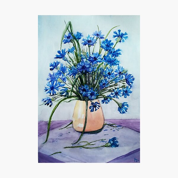 Cornflowers Photographic Print