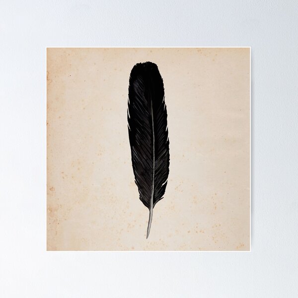 Black feather | Posters, Art Prints, Wall Murals | +250 000 motifs