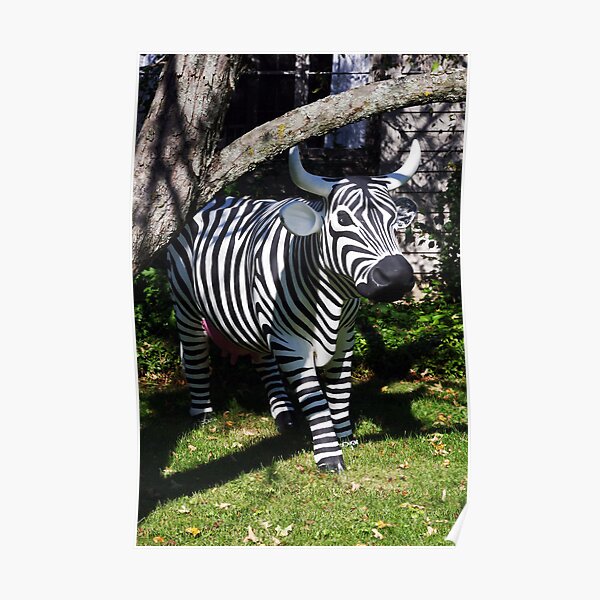 Zebra? Cow? Huh? Poster