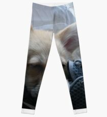 Sleepy Corgi Leggings