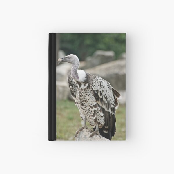 Ruppell's Griffin Vulture Hardcover Journal