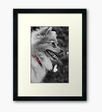 Red Grace Framed Print