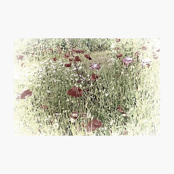 Item preview, Hazy Days of Summer............ designed and sold by lynn carter.
