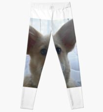 Crazy Ears Leggings