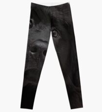 Smart Puppy Wearing Bow Tie - Newfoundland Leggings