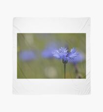 Cornflower Scarf