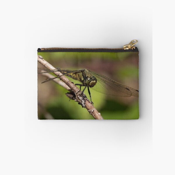 Item preview, Female Keeled Skimmer designed and sold by Neil Bygrave (NATURELENS).
