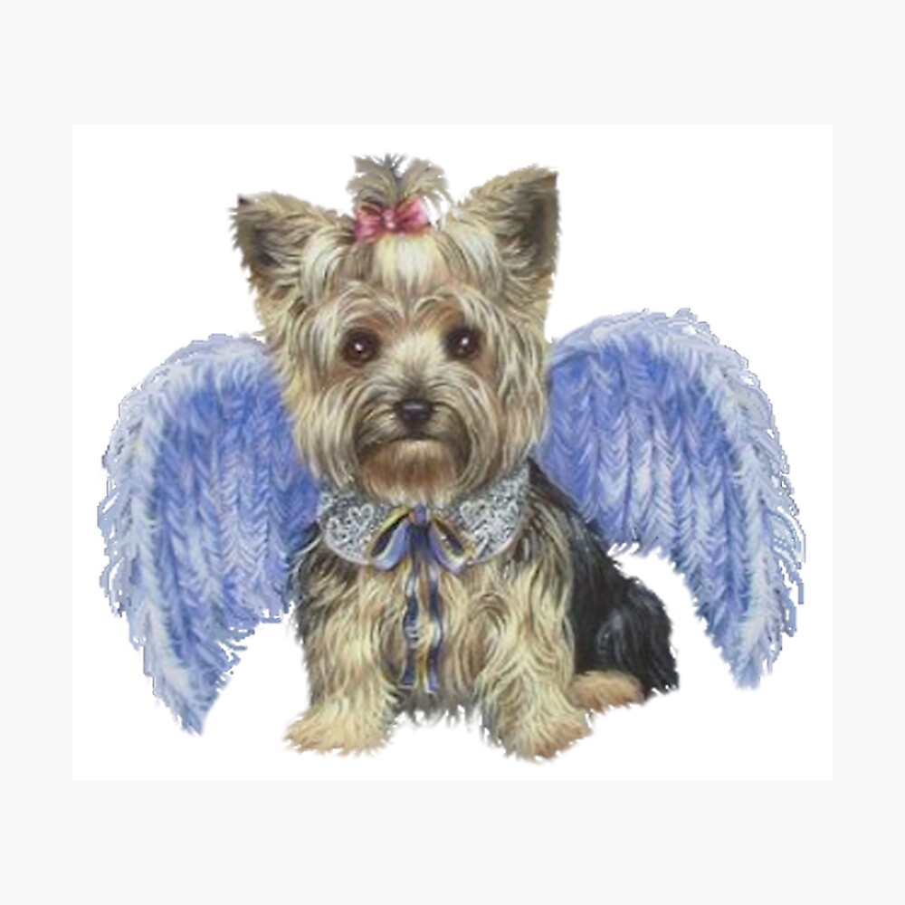 Terrier Dog With Wings" by Pam069 |