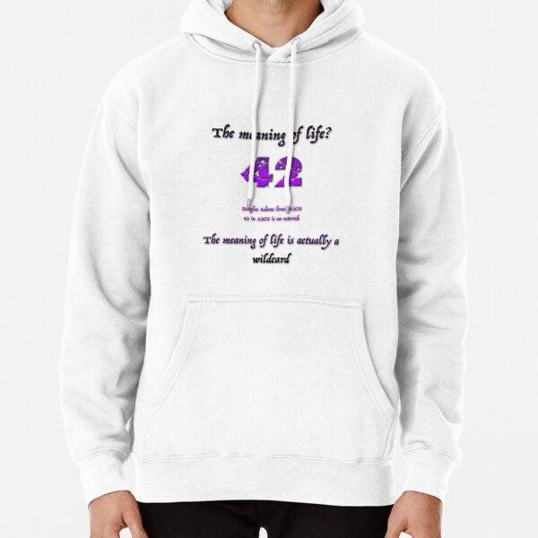 "What is the meaning of life? 42!" Pullover Hoodie by bektrent Redbubble