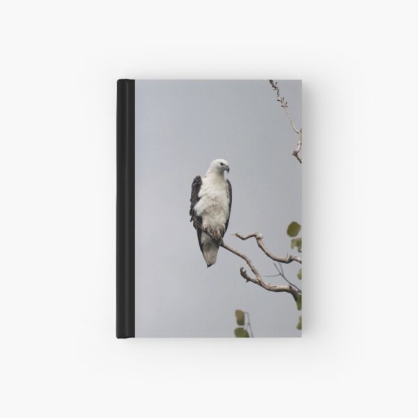 White bellied sea eagle Hardcover Journal