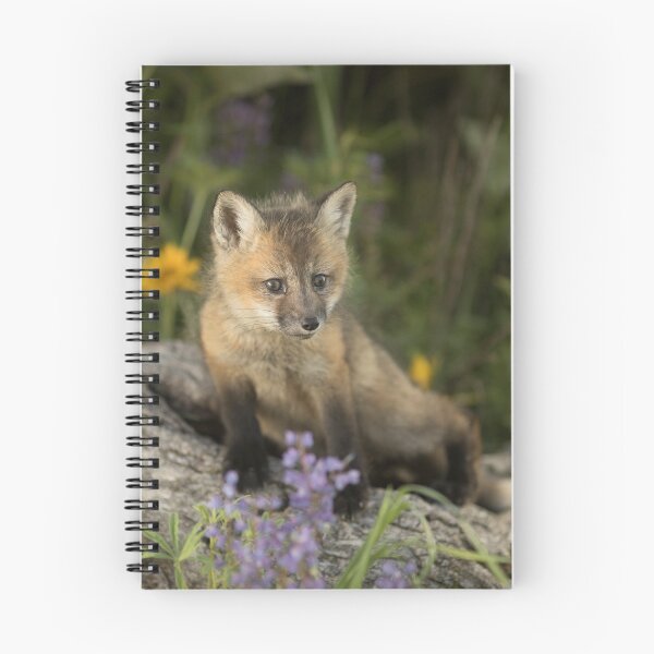 Item preview, Baby Red Fox designed and sold by Matthew Kochel JJ In A Jayco.