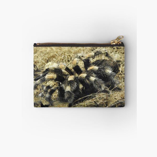 Item preview, Mexican Red-Knee Tarantula designed and sold by Martina Nicolls.