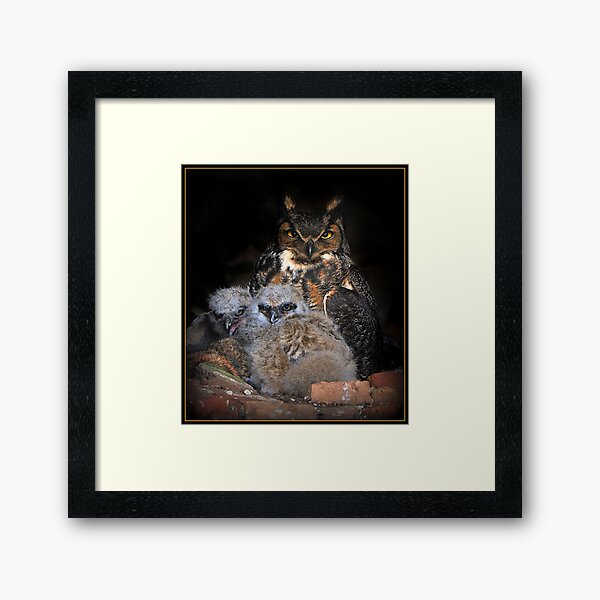 Great Horned Owl and Owlet Framed Art Print