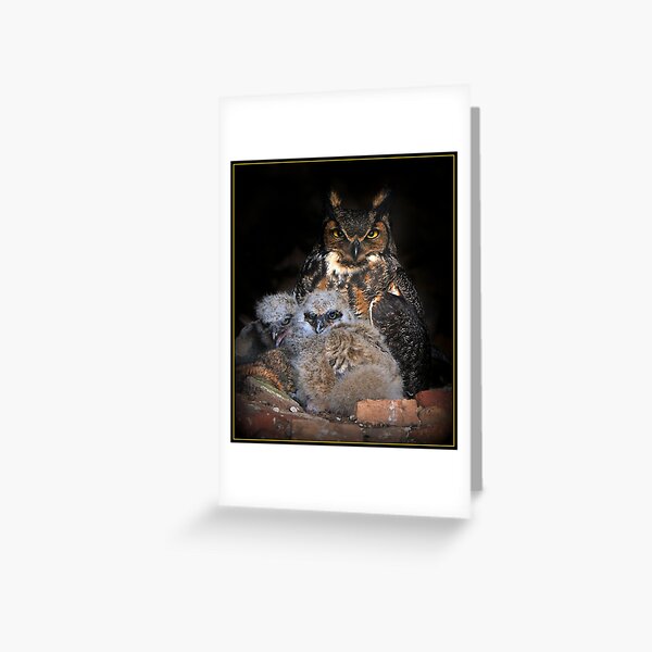 Great Horned Owl and Owlet Greeting Card
