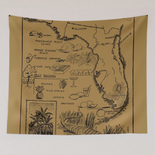Item preview, Vintage Illustrative Map of Florida (1912) - Tan designed and sold by BravuraMedia.
