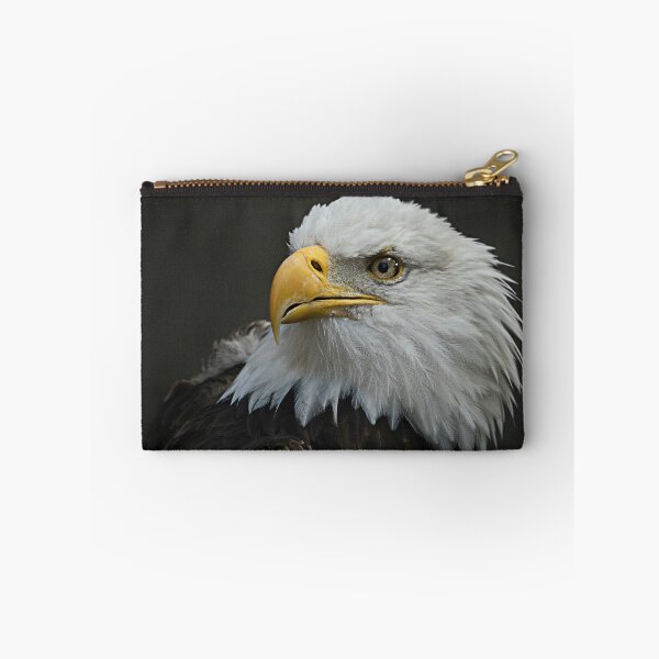 Item preview, Home of the Brave  designed and sold by lizwaitinas.