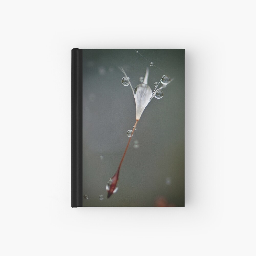 Drops on a web Hardcover Journal
