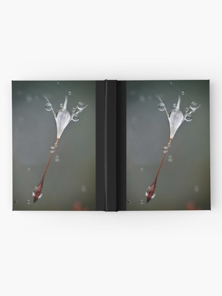 Alternate view of Drops on a web Hardcover Journal